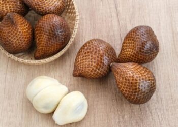 Ketahui 5 Manfaat Buah Salak untuk Ibu Hamil dan Efek Sampingnya