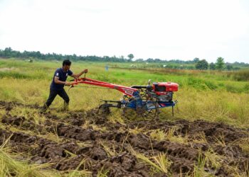 Medy, Ketua Kelompok Tani Tanjung Pulai menggemburkan lahan sawah menggunakan hand tractor bantuan CD RAPP.