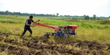 Medy, Ketua Kelompok Tani Tanjung Pulai menggemburkan lahan sawah menggunakan hand tractor bantuan CD RAPP.