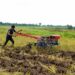 Medy, Ketua Kelompok Tani Tanjung Pulai menggemburkan lahan sawah menggunakan hand tractor bantuan CD RAPP.