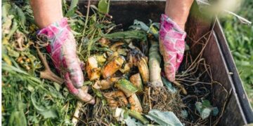 5 Cara Mudah Buat Kompos Gratis dari Limbah Organik